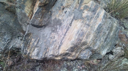 Гигантские зелёные валуны для ландшафтного дизайна весом более 5 тонн купить в Ивантеевке