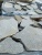 купить плитняк златолит серебристый